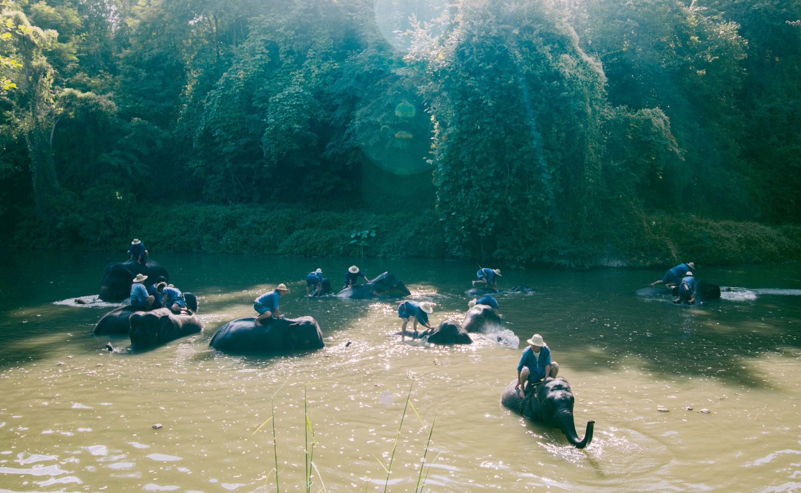 Chiang Mai