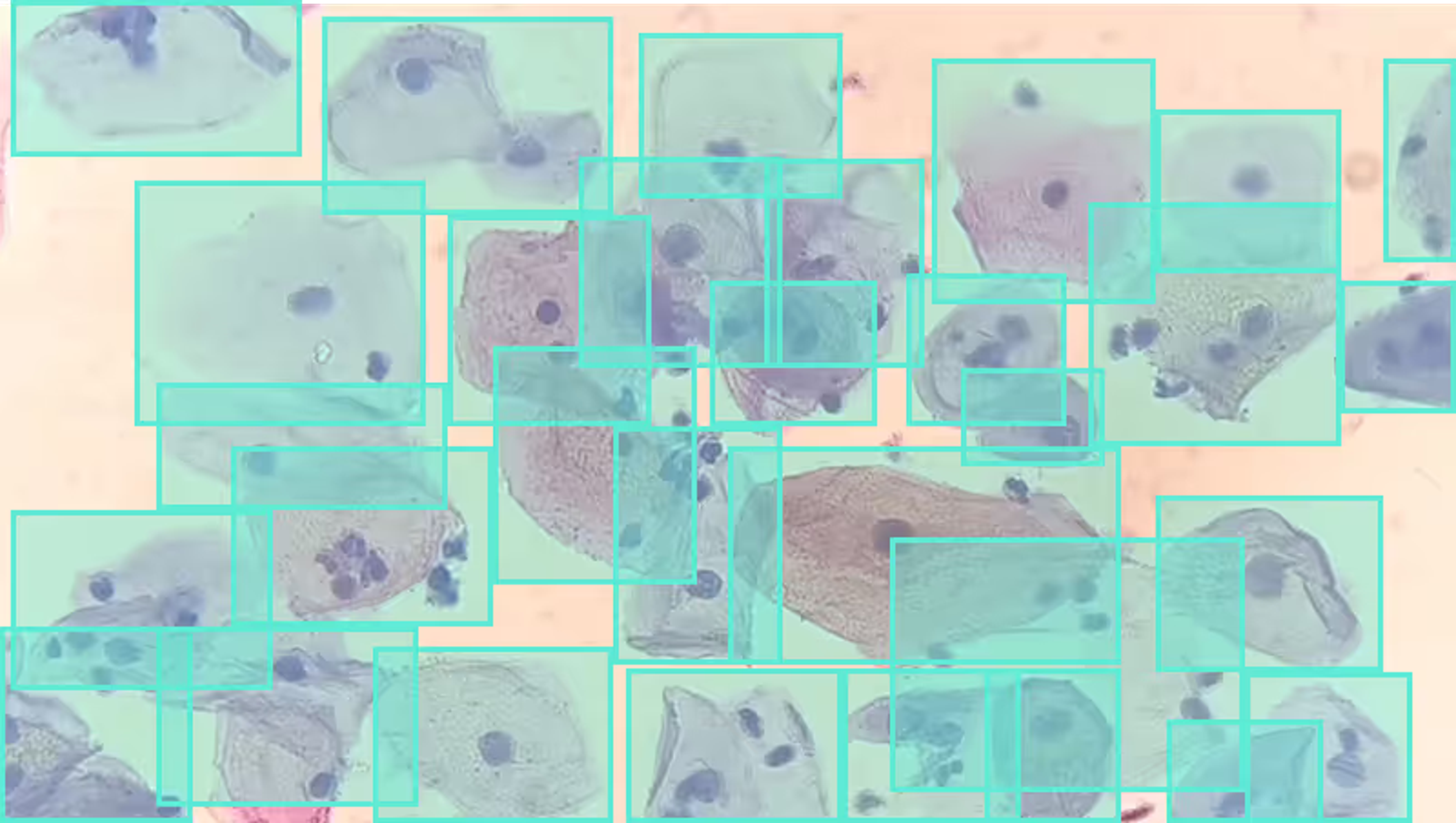 Analyze Medical Imagery