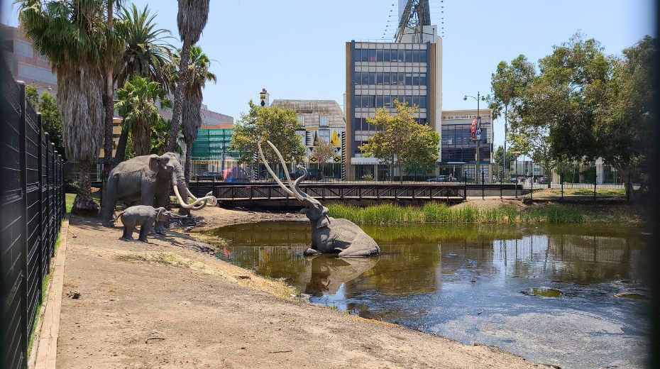 La Brea Tar Pits Los Angeles with kids