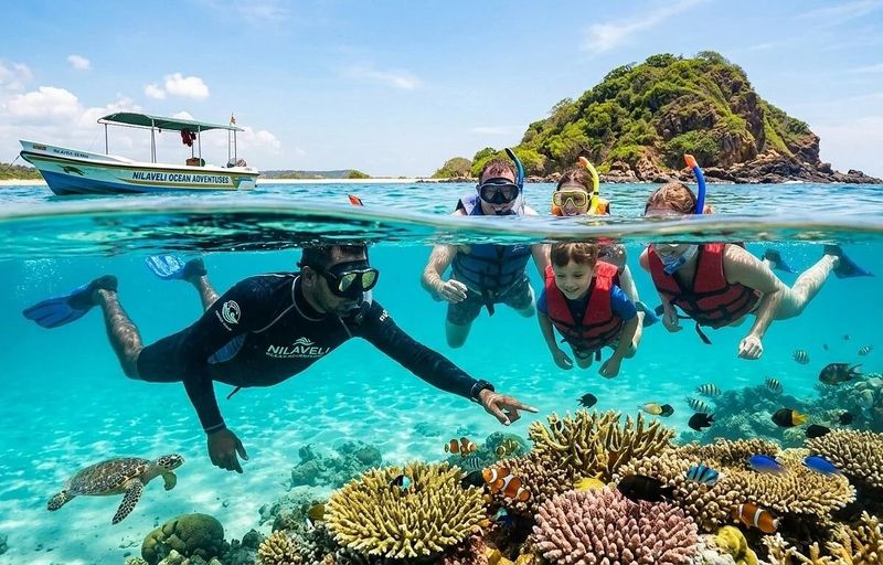 Snorkeling Pigeon Island: Coral Reefs, Reef Sharks, and Sea Turtles