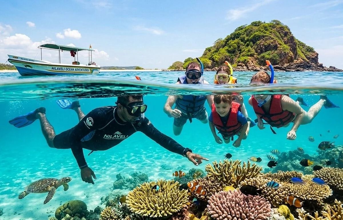 Snorkeling Pigeon Island: Coral Reefs, Reef Sharks, and Sea Turtles