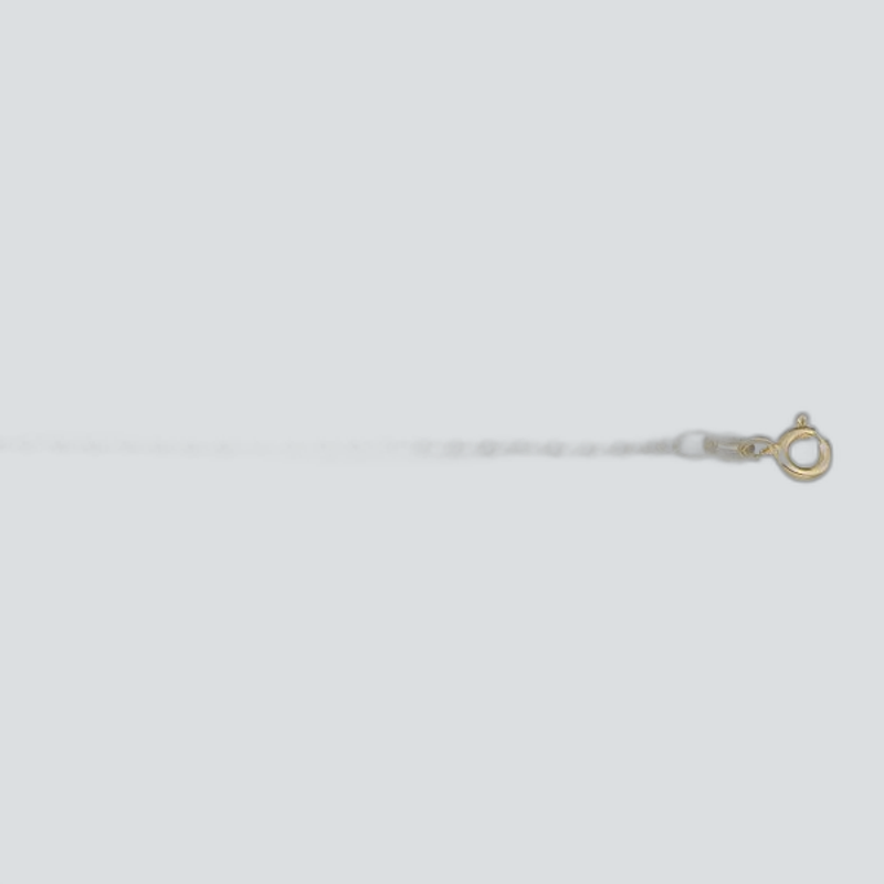 N605-LIGHT/PL