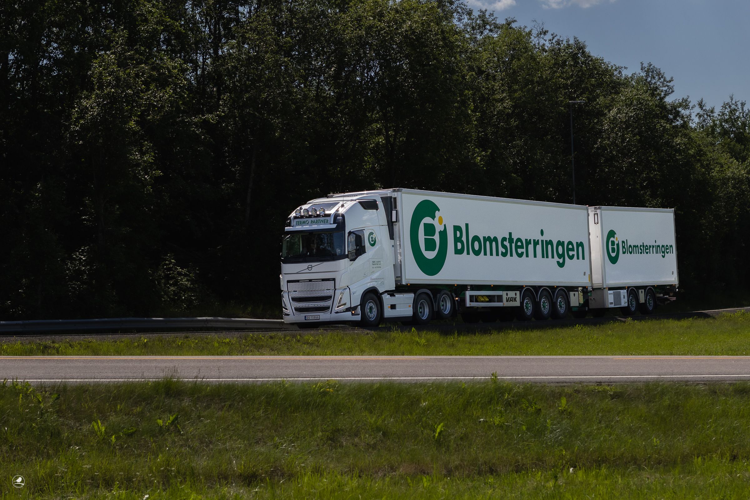 Termoparter profilbilde