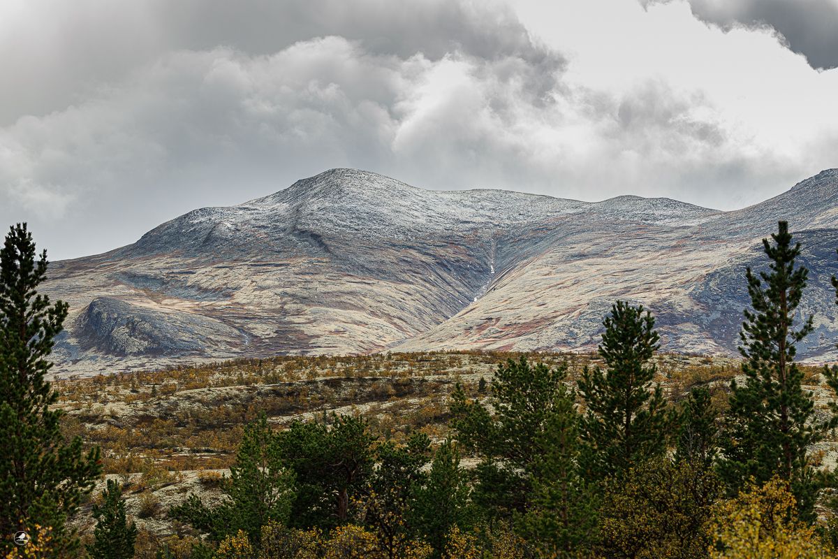 Grimsdalen, Rondane, Norway