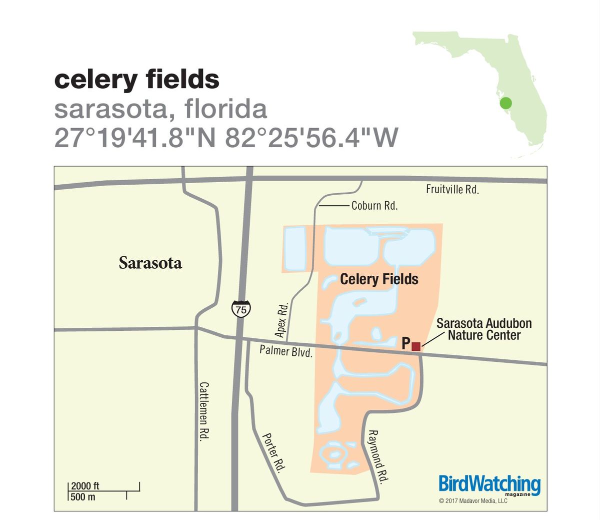 The Celery Fields