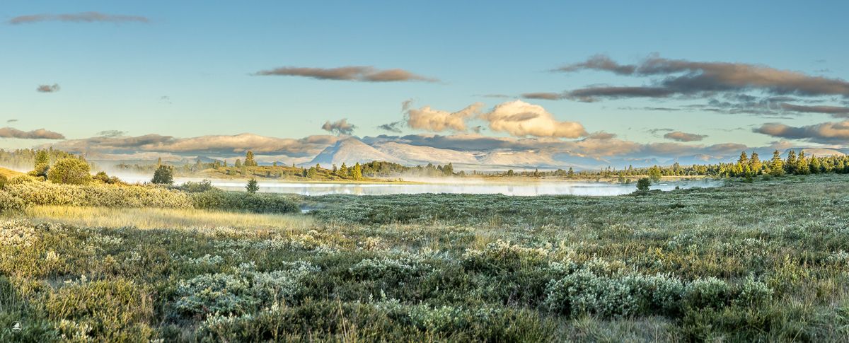 Landskapsbilder 