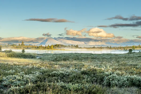Landskapsbilder