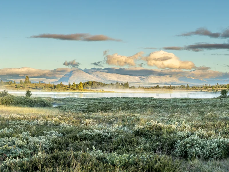 Landskapsbilder