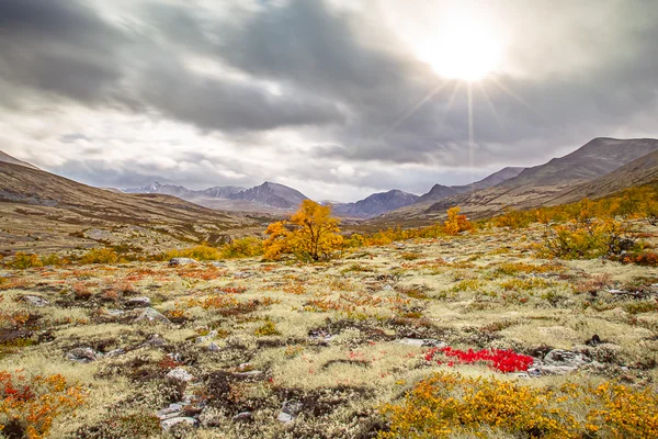 Landskapsbilder