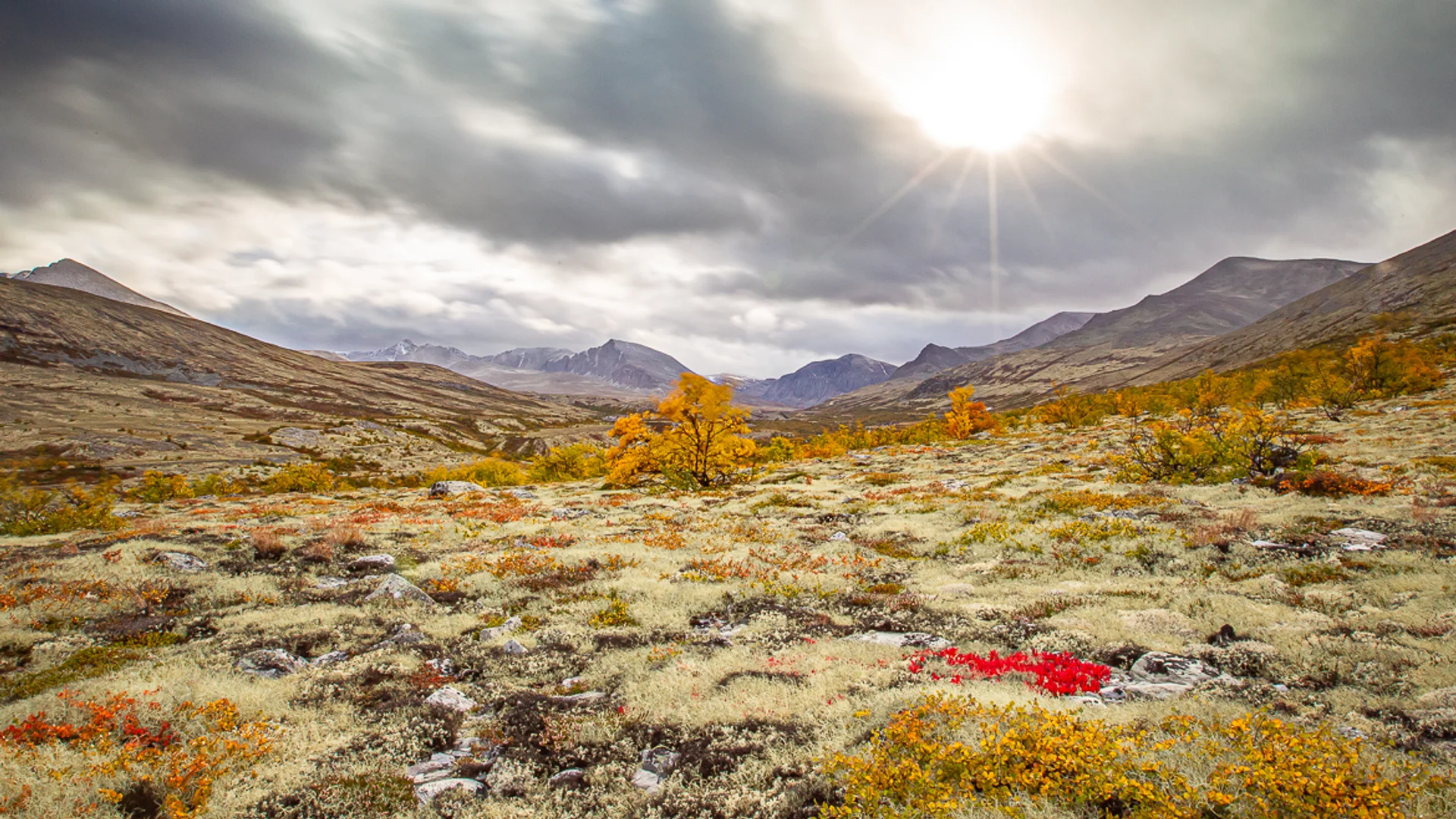 Landskapsbilder