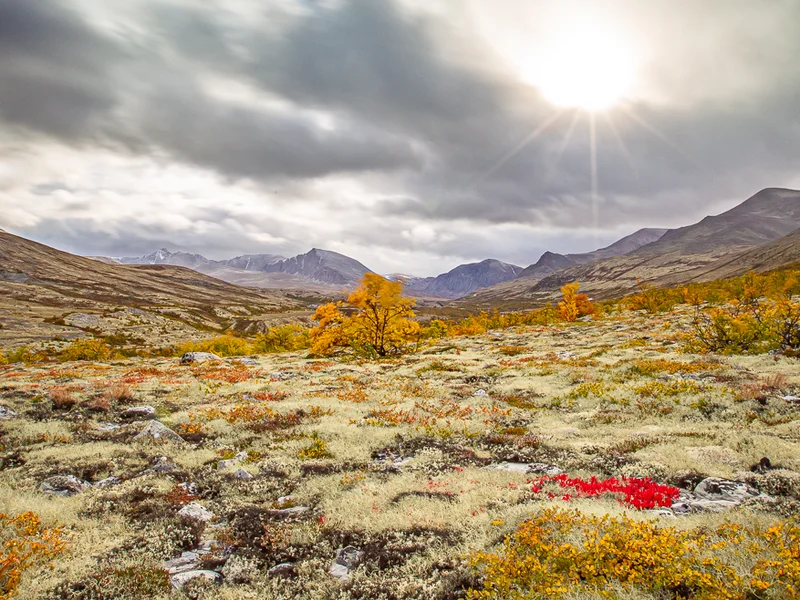 Landskapsbilder