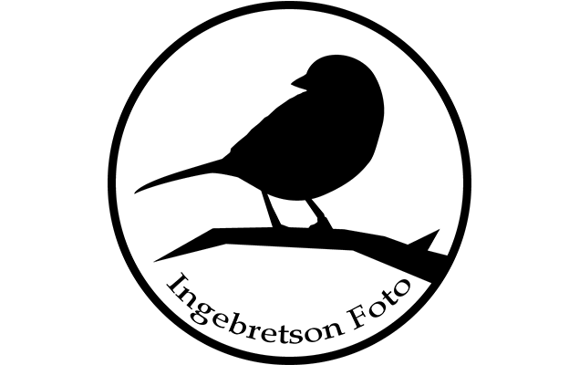 Ingebretson Foto