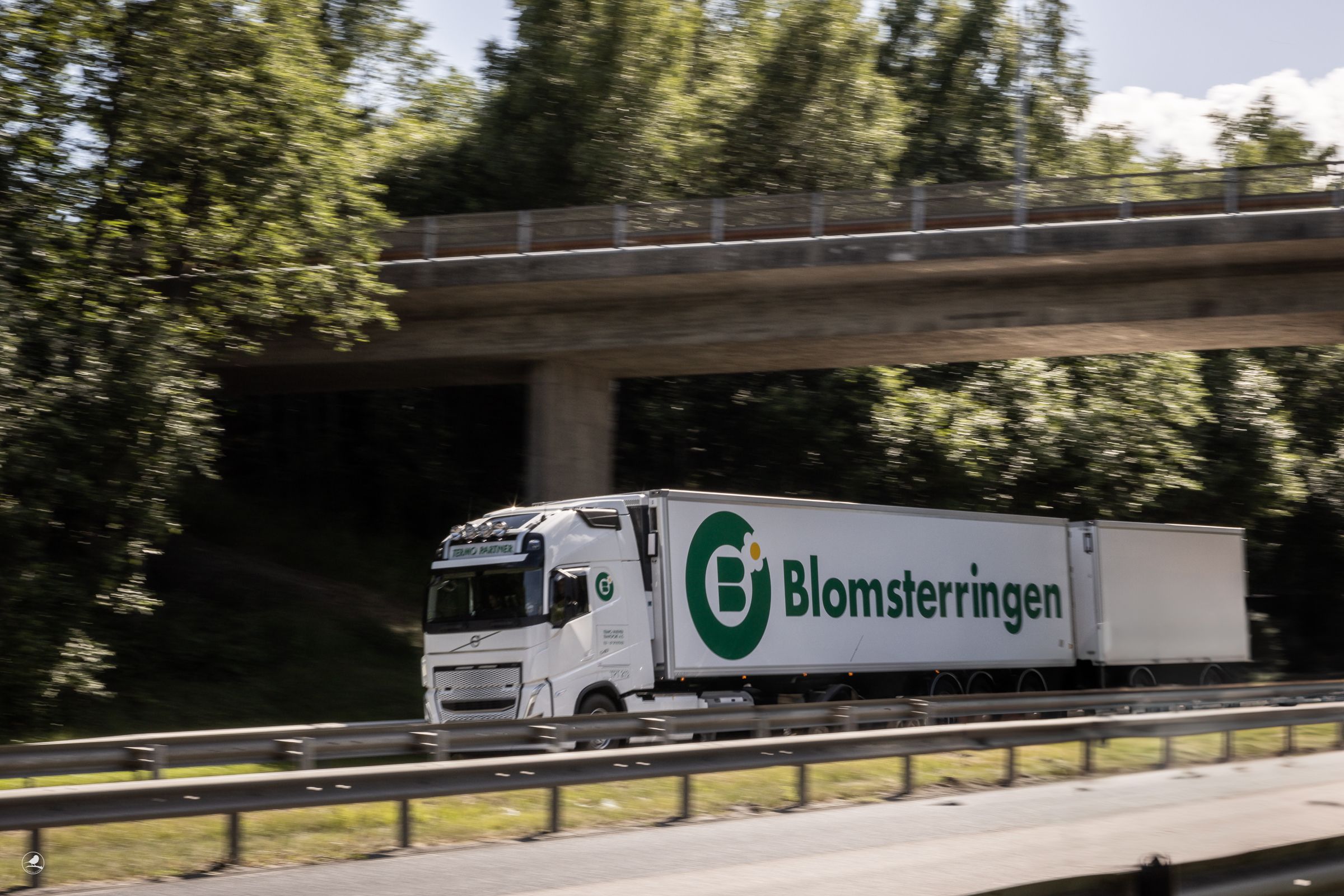 Termoparter profilbilde