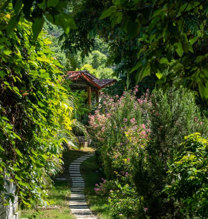 Garden paths