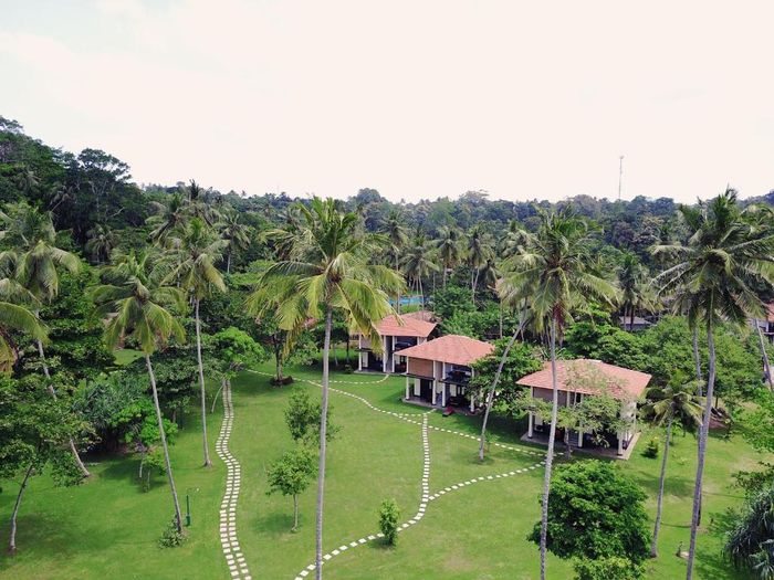 Rooms amidst nature