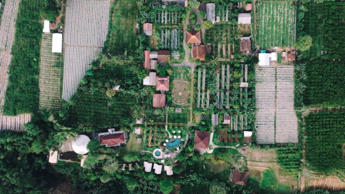 Working organic farm
