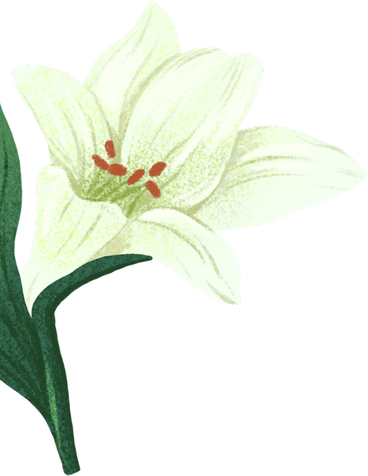 Floral decoration