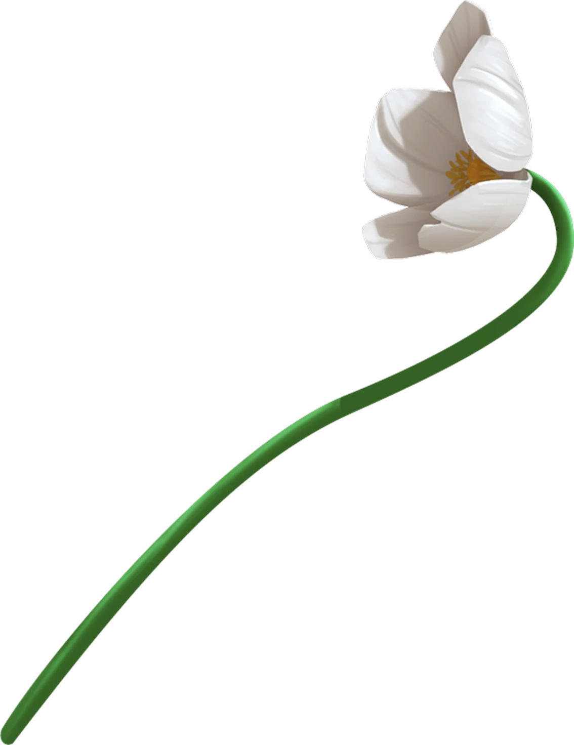 Floral decoration