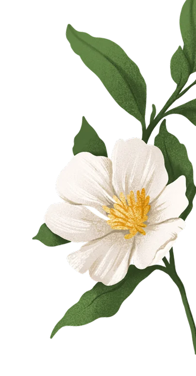 Floral decoration