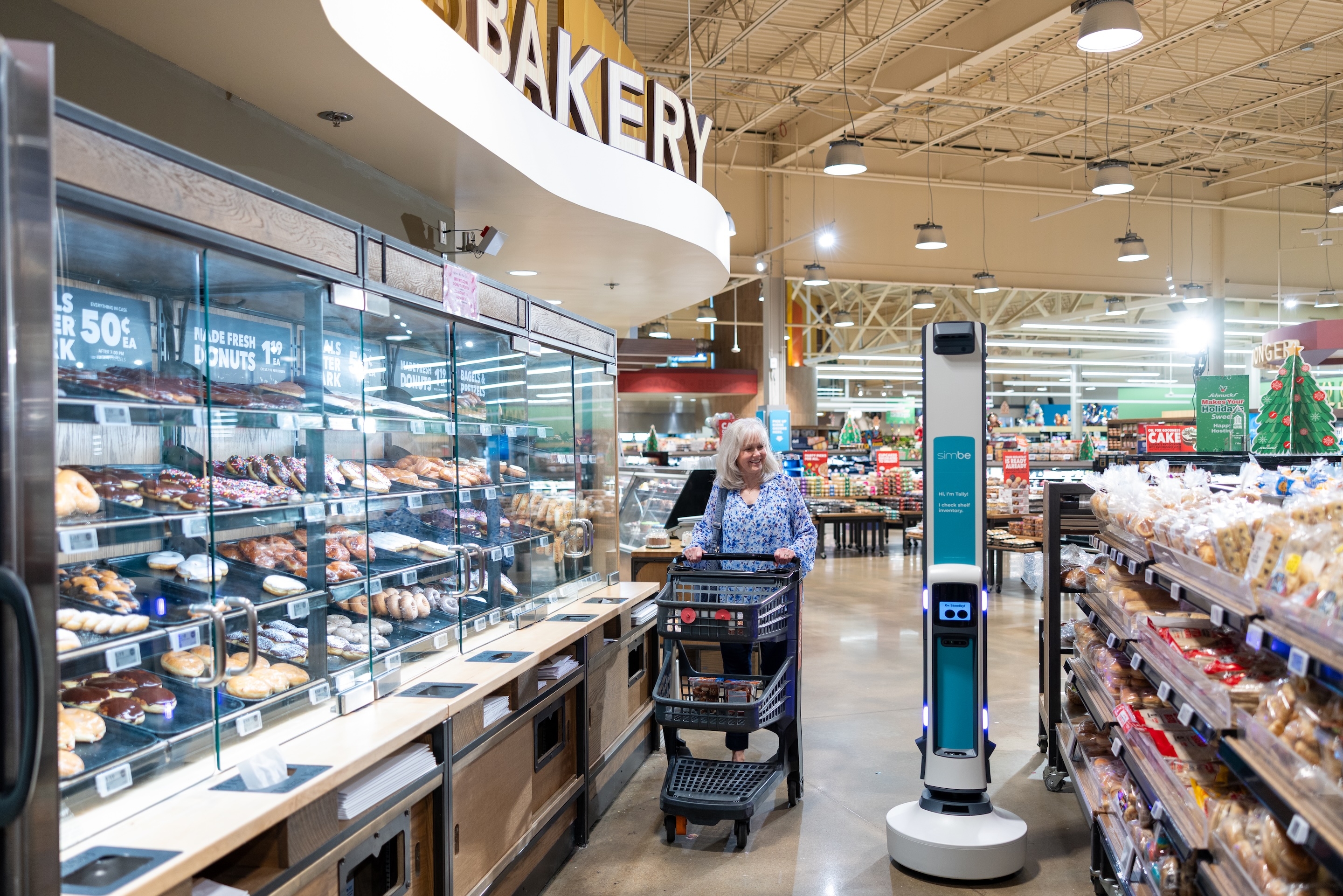 Tally Passed Robotics' Toughest Safety Test. Nobody Checked If It's Actually AI.