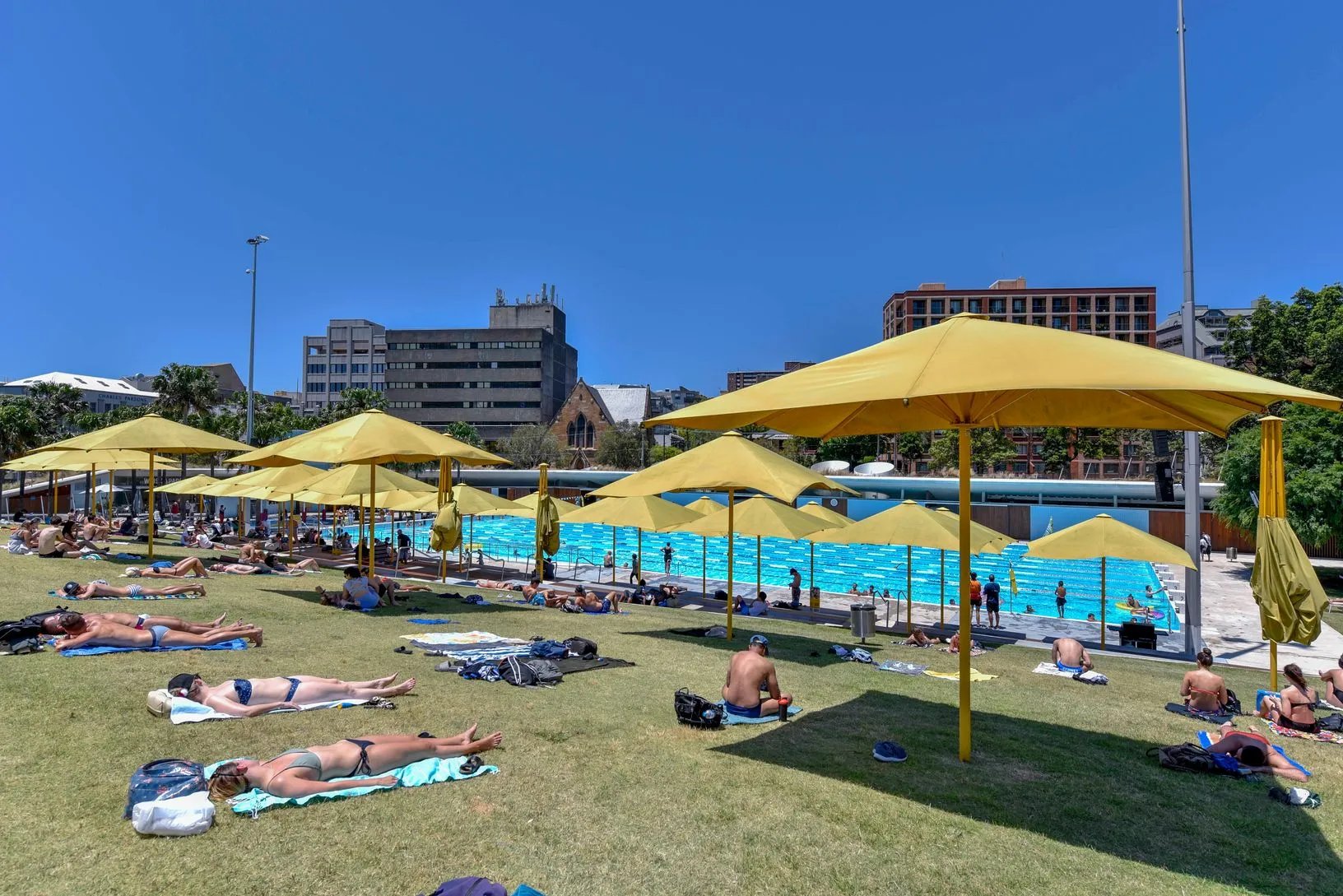 People sunbaking on the hill at Prince Alfred Park Pool