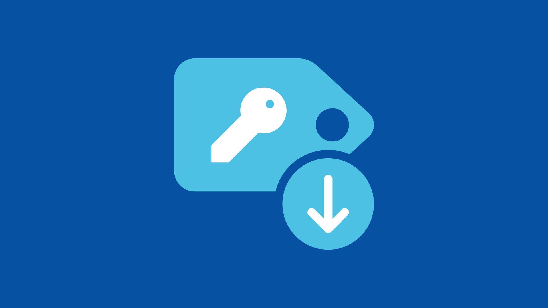 Access key icon