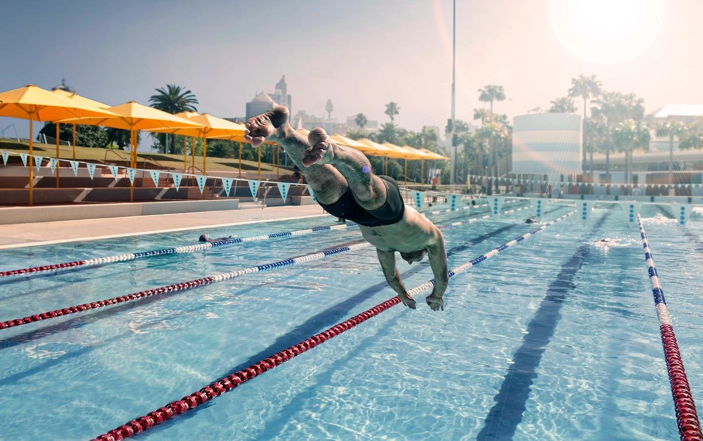 Male diving into the 50m outdoor pool at Prince Alfred Park Pool