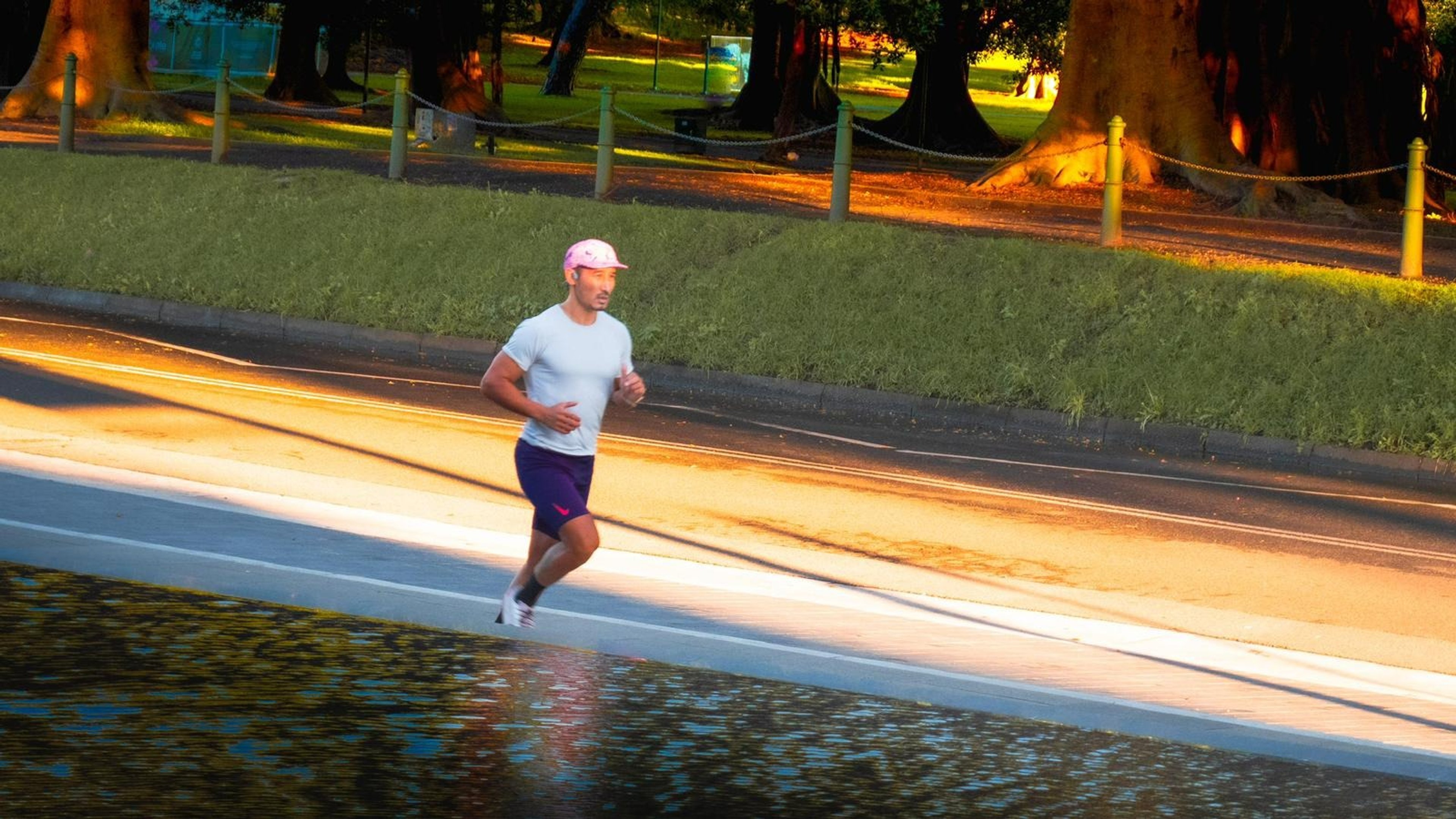 Ocho running next to a road, with parklands in the background 