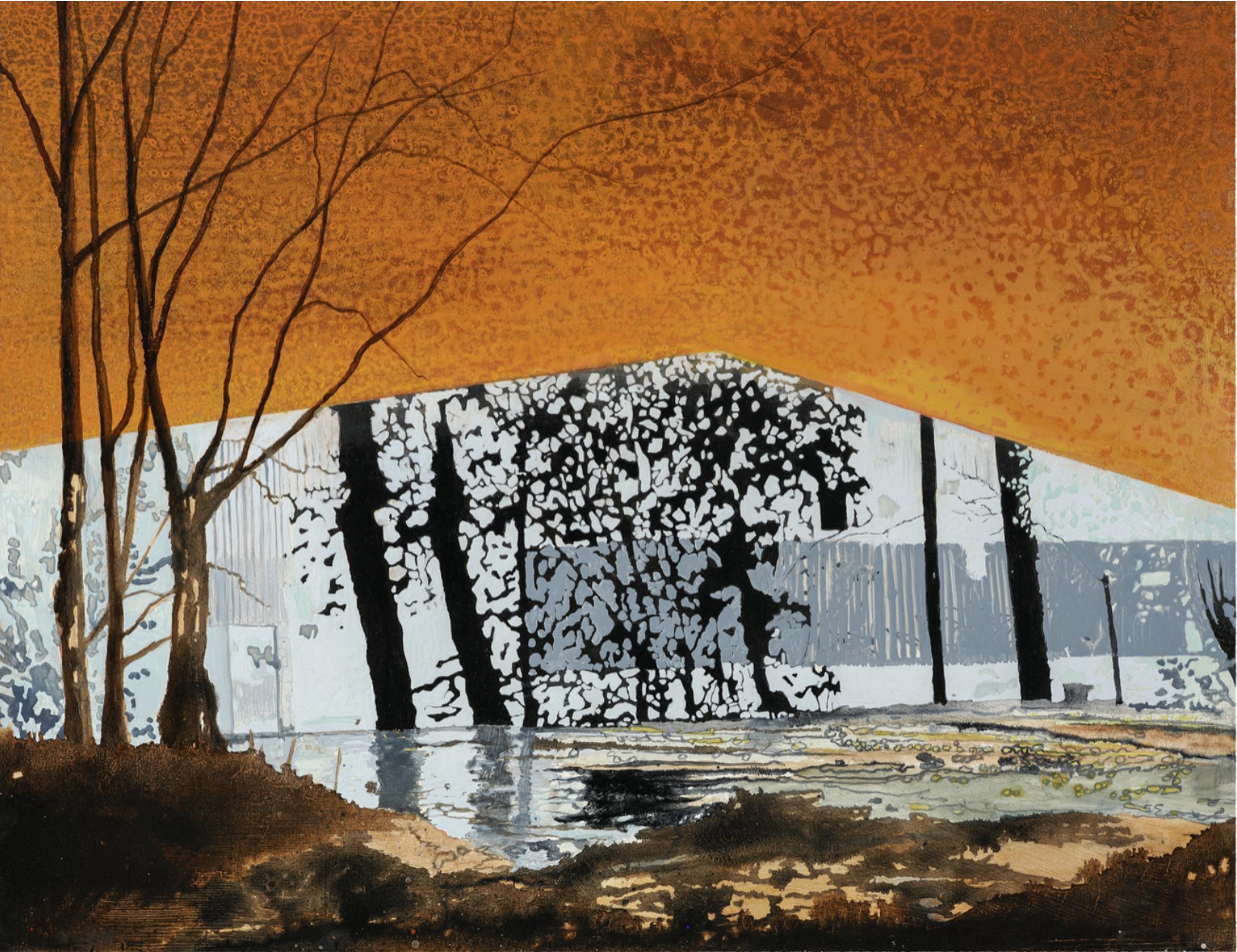 Step out of the Shadows