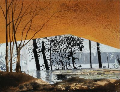 Step out of the Shadows