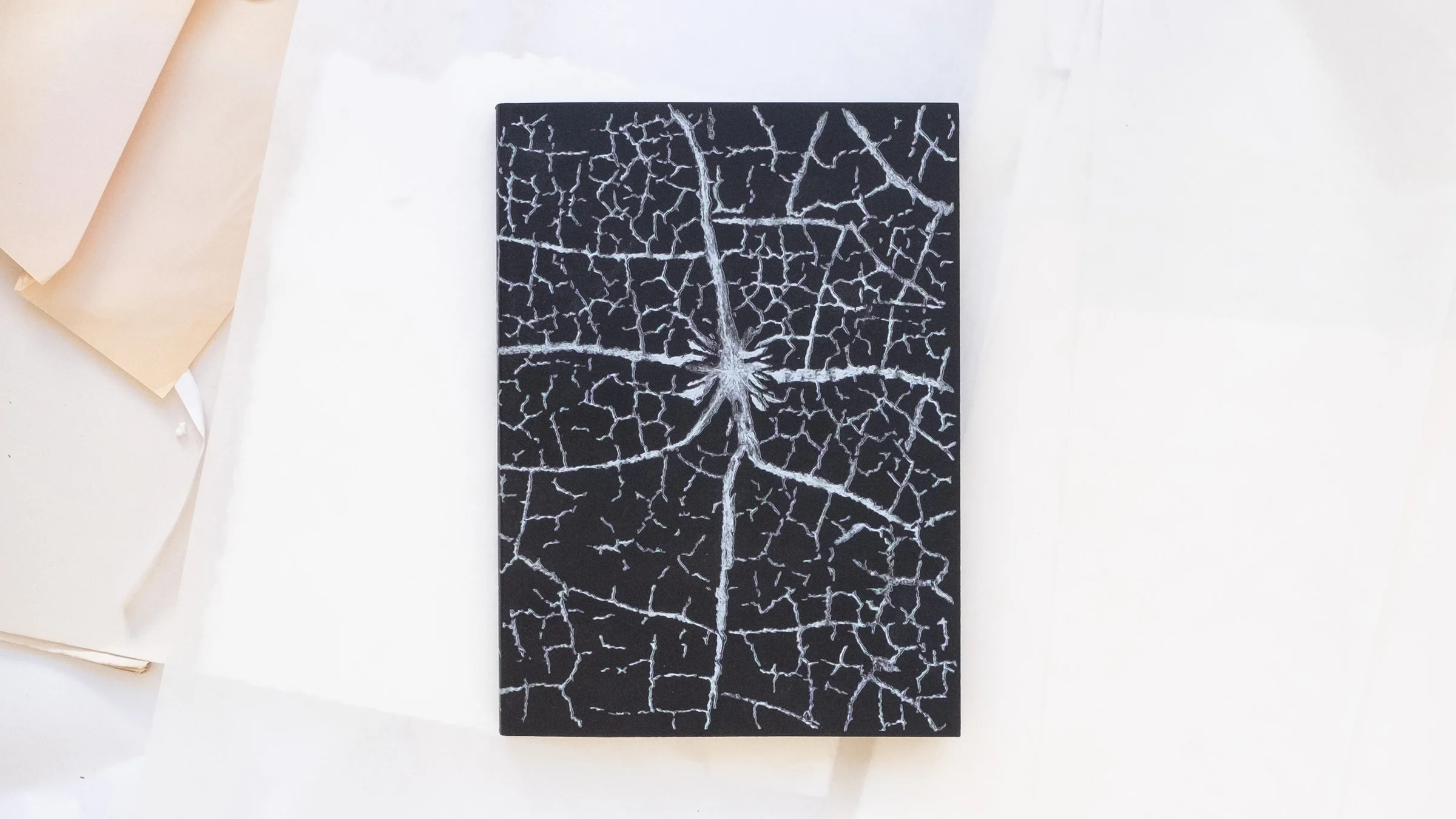 Wind in the Cage (cover), 2024