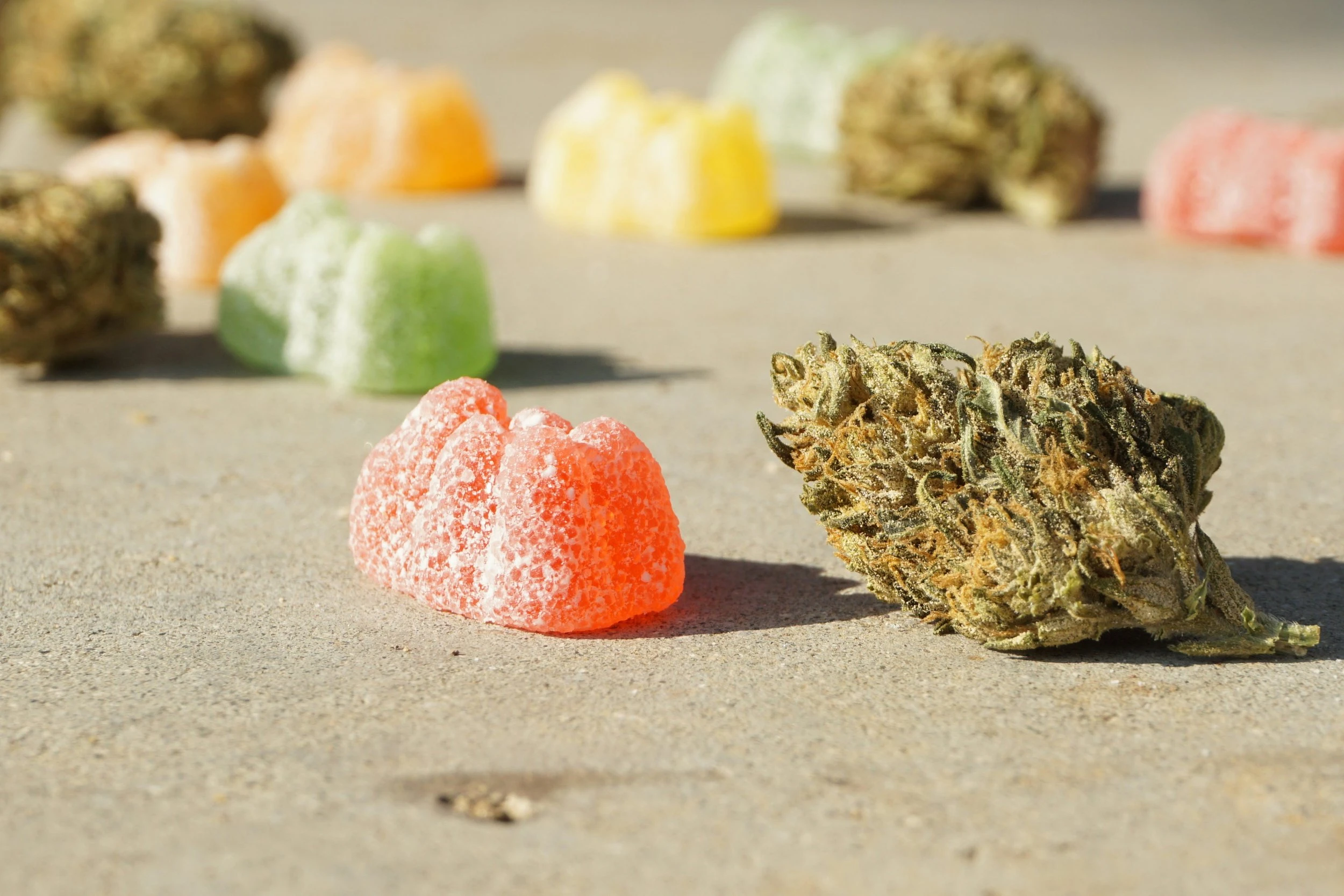 a large, red cannabis gummy sitting next to a large cannabis nugget. Scattered behind the two are other coloured gummies as well as cannabis nuggets. The camera focuses primarily on the two in the forefront while the rest behind them are blurred.