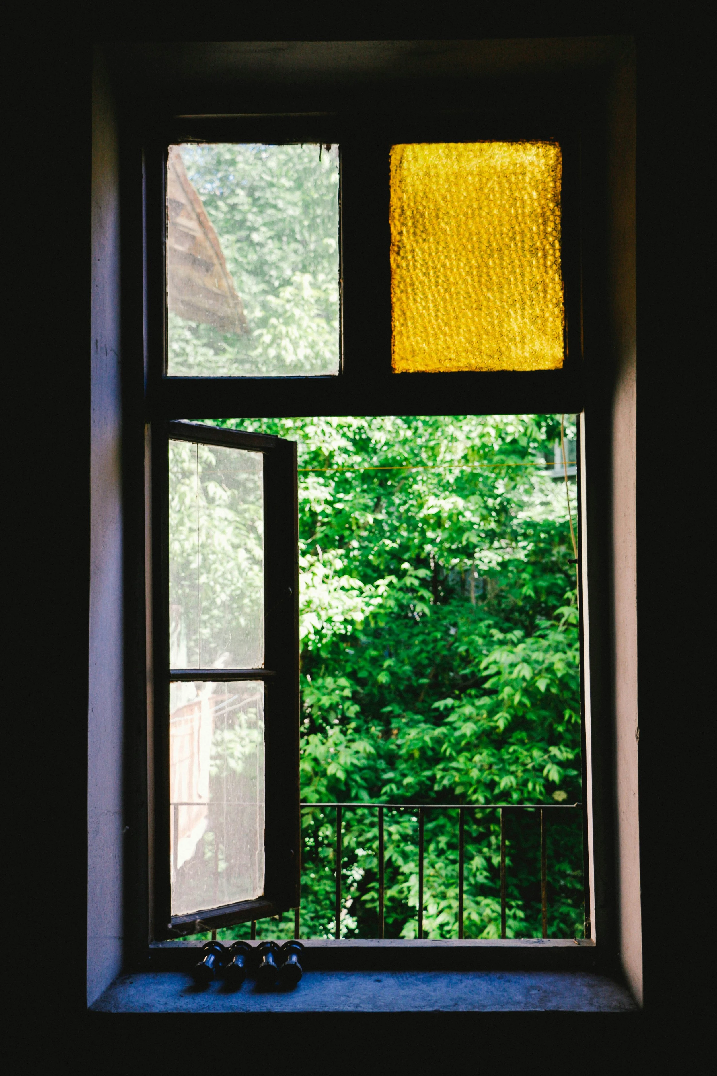 An open window showing a vibrant green tree on the other side of it. 