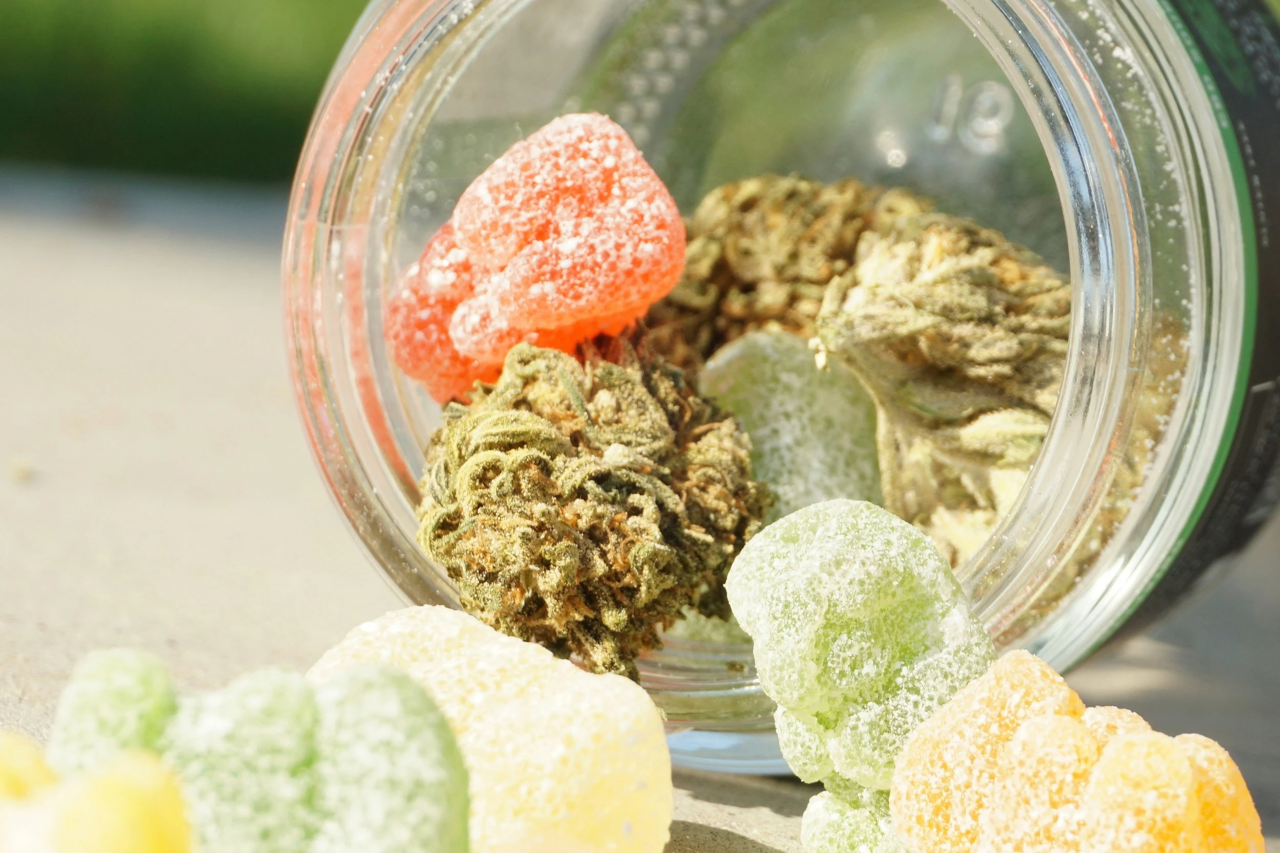 An open mason jar placed on its side with cannabis infused gummies and cannabis buds spilling out of it.