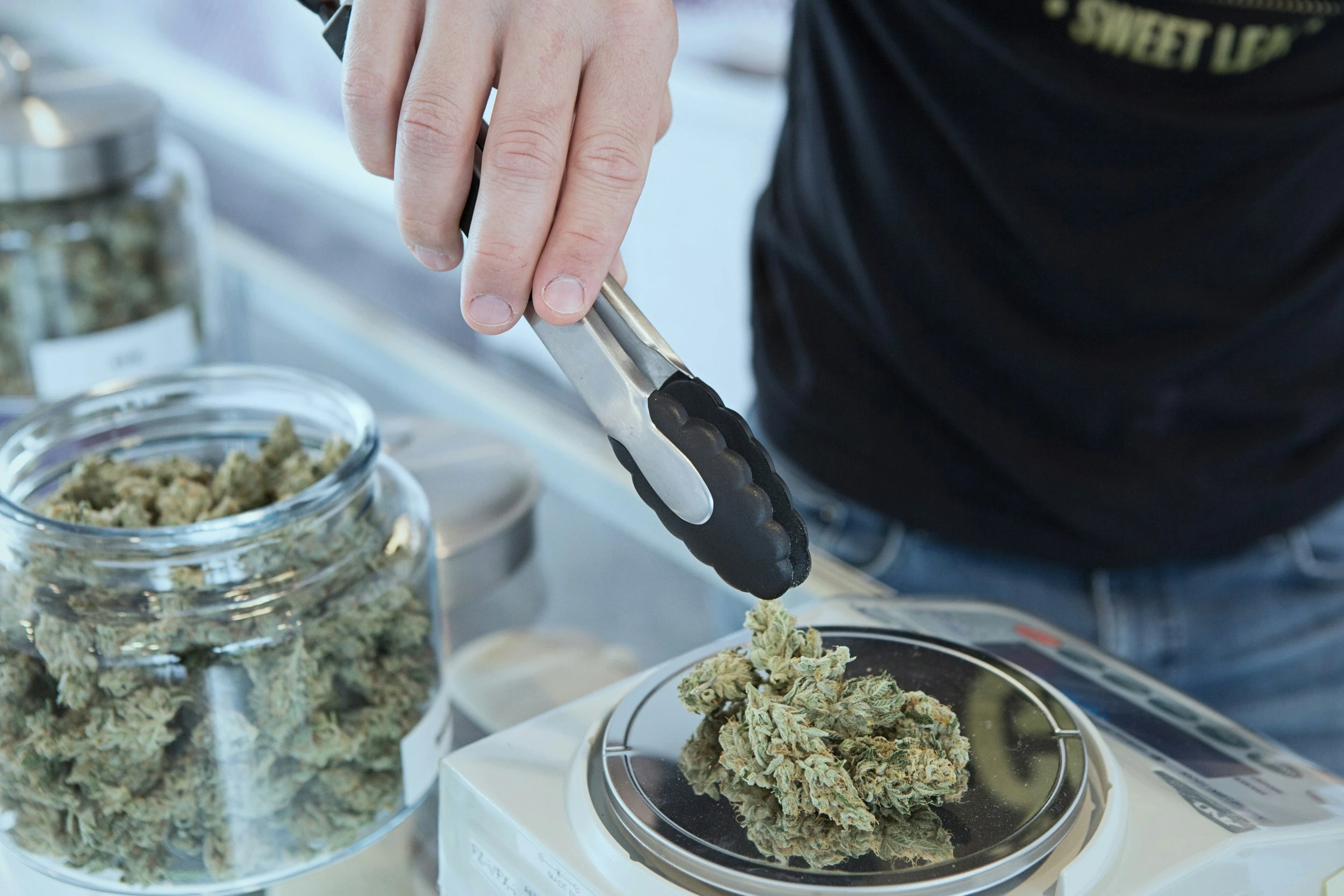 A hand holding tongs and transferring a large cannabis bud from a big glass jar onto a scale plate right next to it. 