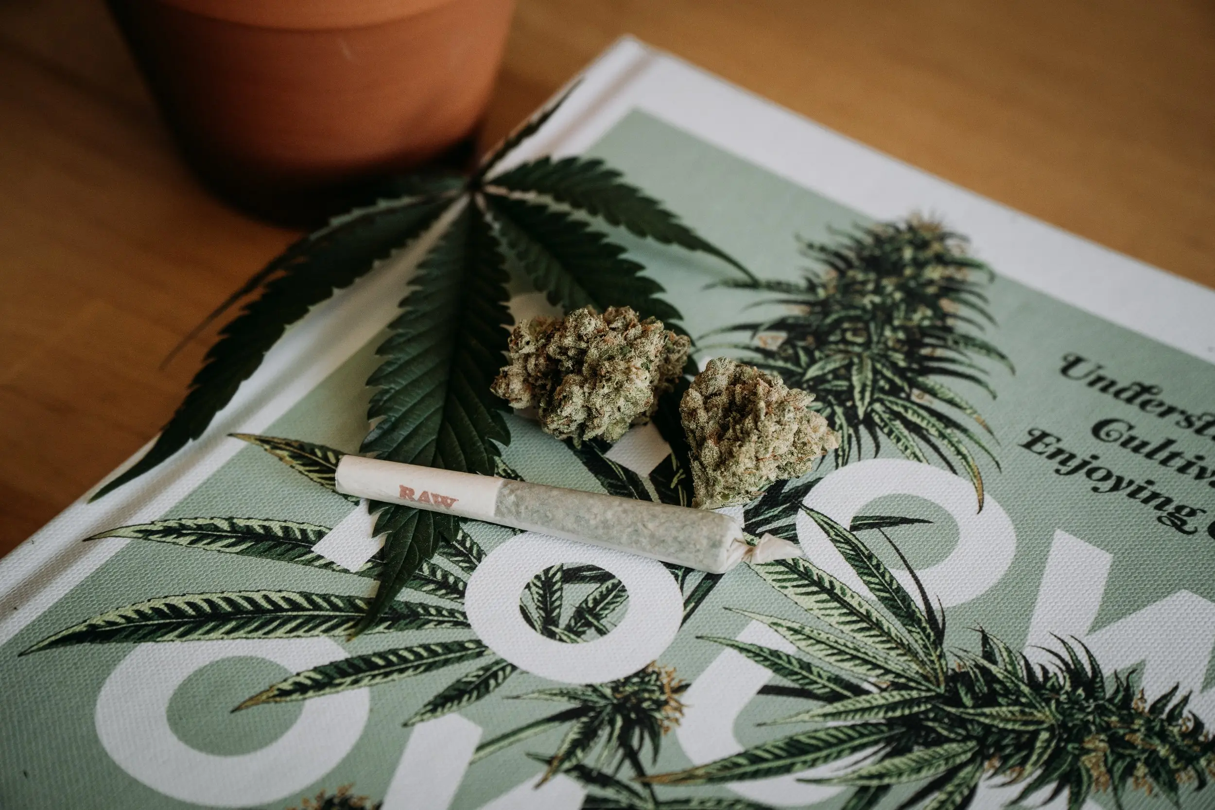 A RAW-branded cannabis joint with two marijuana buds and a cannabis leaf displayed on a green canvas featuring illustrations of cannabis plants, perfect for showcasing cannabis culture, medical marijuana, and lifestyle imagery.