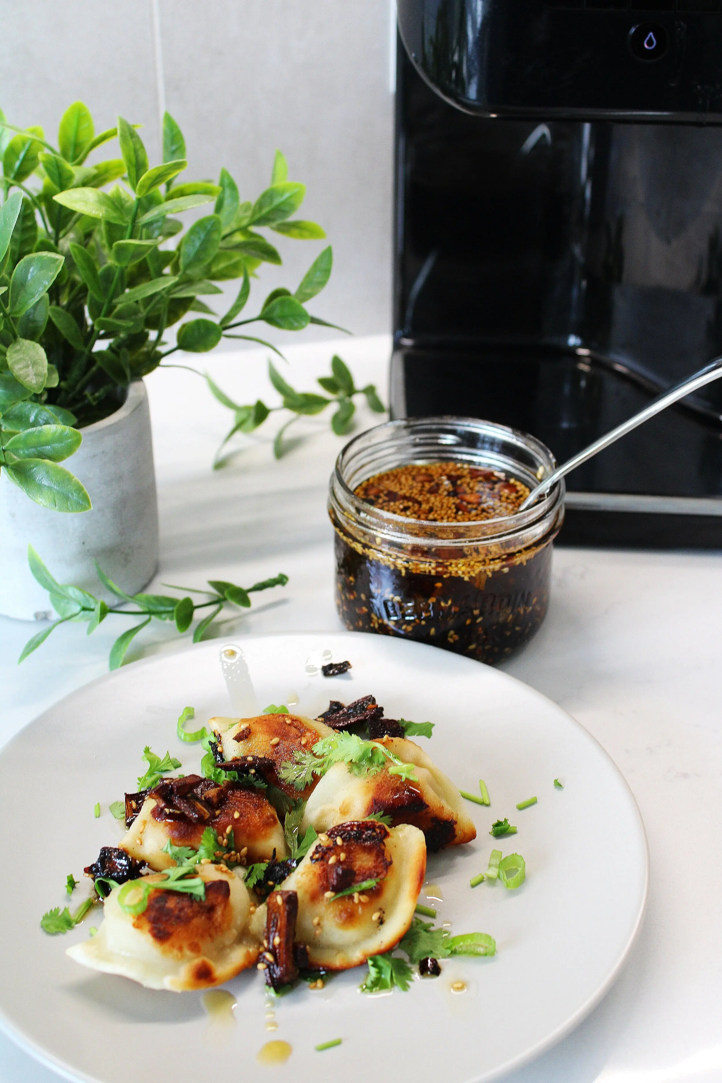 a white plate with 5 dumplings on it that are covered in chili oil and the garnish of some green herbs. Behind it sits a large glass jar of infused chili oil and a spoon rests just inside of it. 