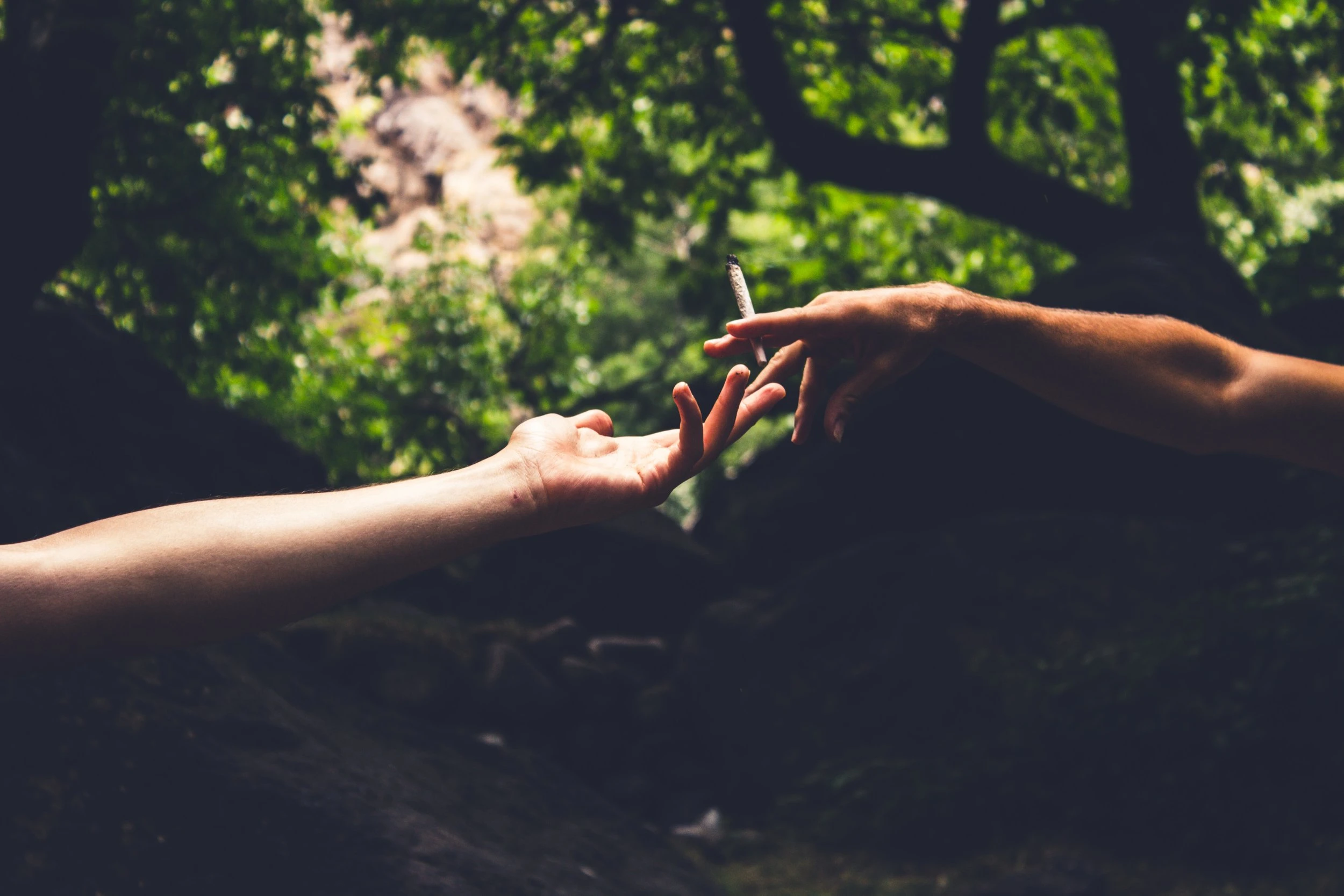 A hand passing another hand a lit cannabis joint against a beautiful green outdoor scenery.