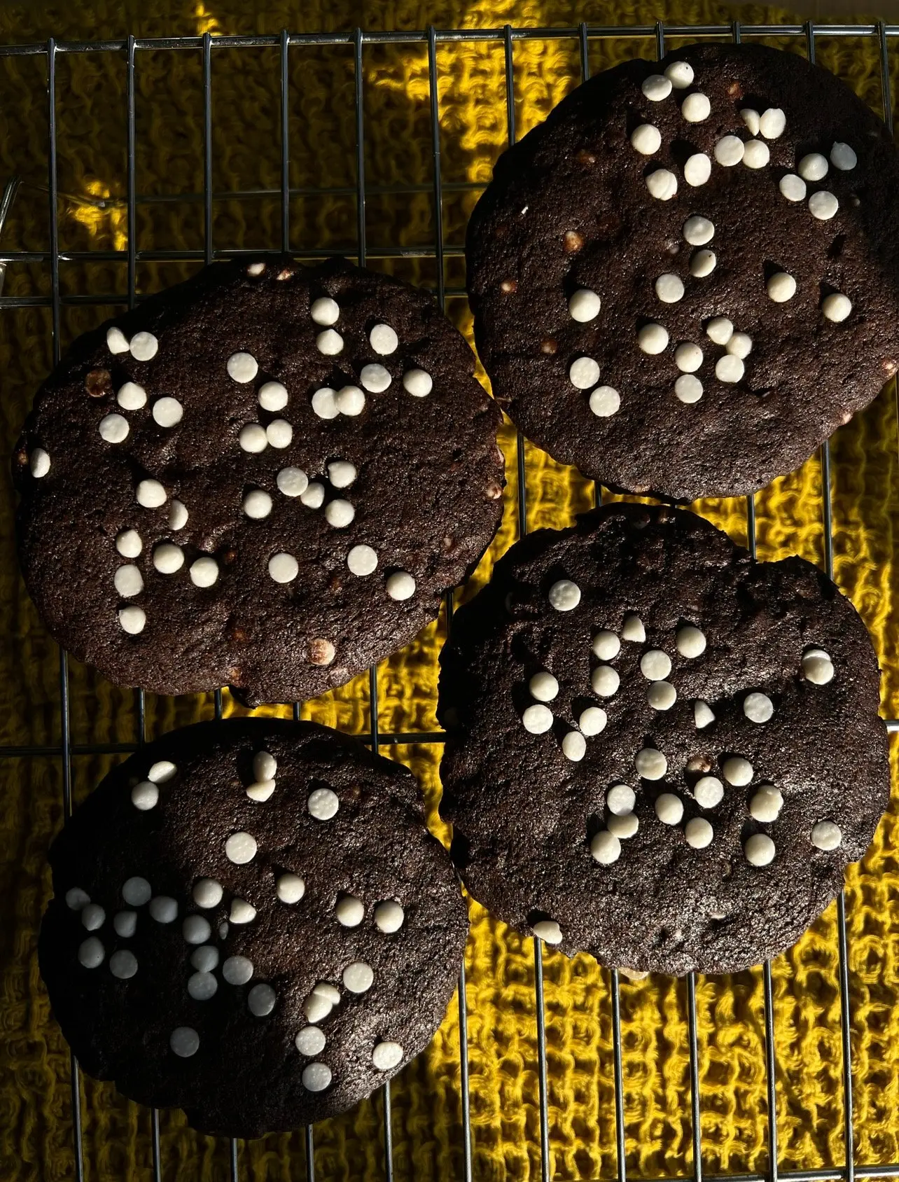 A tray of four, chocolate cookies with white chocolate chips on top.