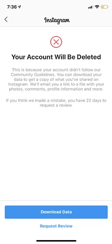 A warning memo from Instagram that states "Your Account Will Be Deleted"