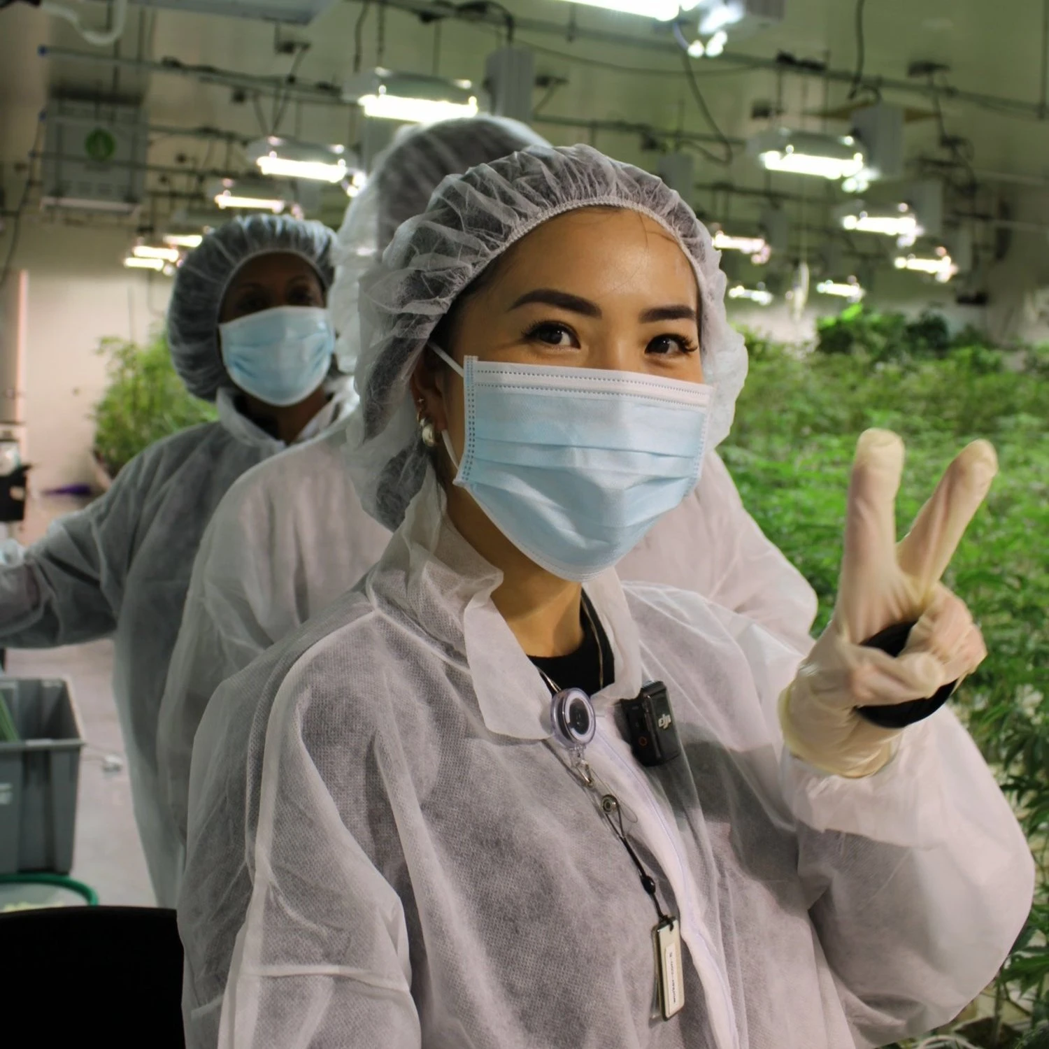 Anna The Cannabinista (a woman with dark brown hair) in full protective gear, inside acannabis facility. She is wearing a mask, but clearly smiling, and is holding up a peace sign.