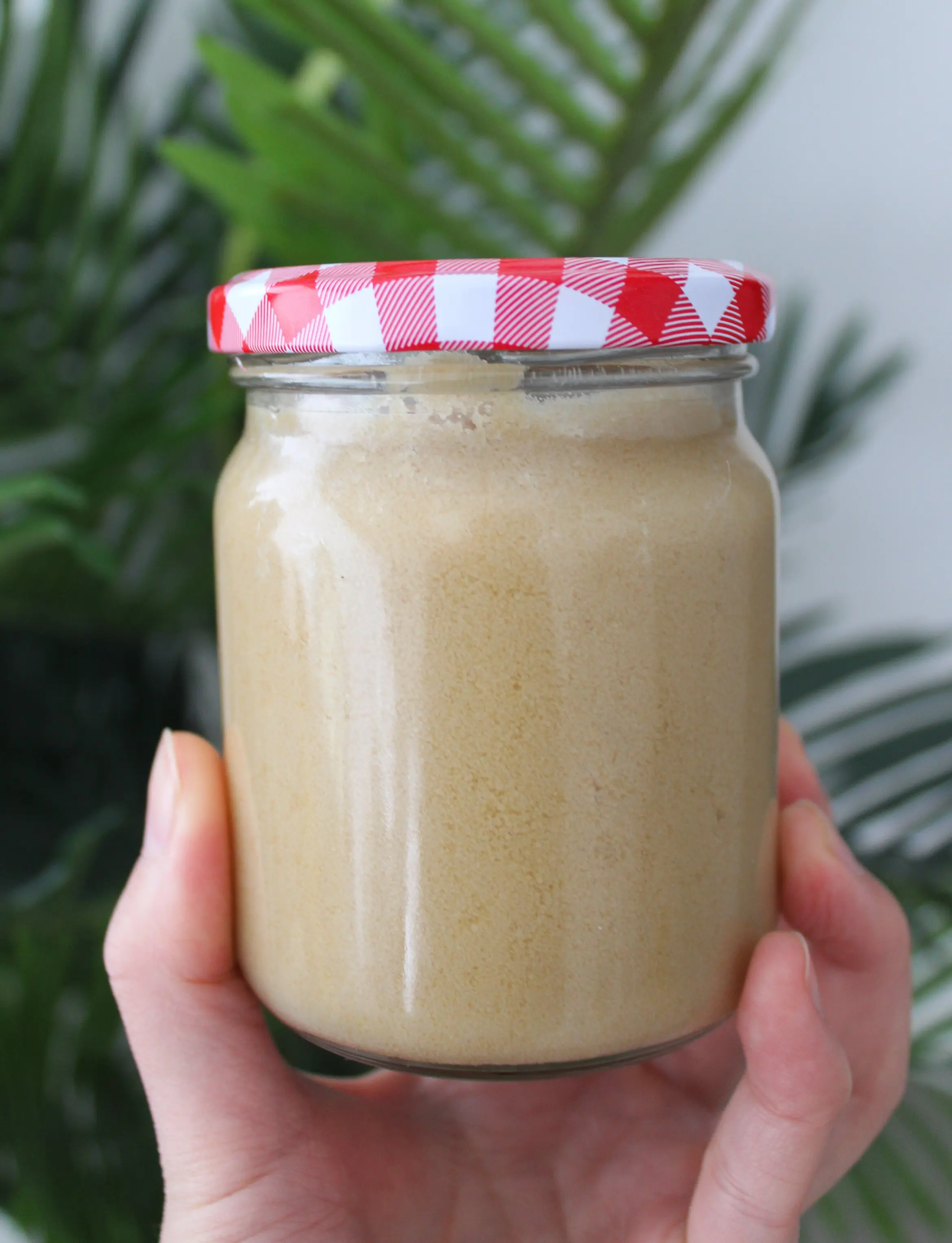 a hand holding a large jar full of beige muscle cream. The jar has a red and white checkered lit and is being held in front of a palm plant.