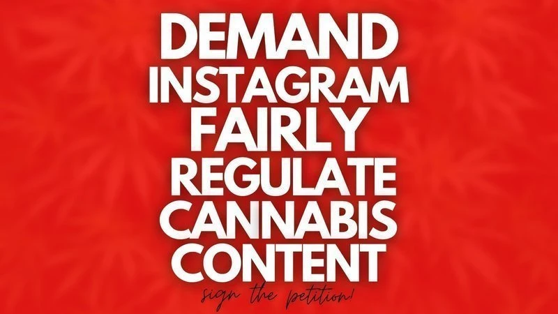 A bright red background with white, bold text which reads "Demand Instagram fairly regulate cannabis content" with smaller, black letters underneath it which read "sign the petition!"