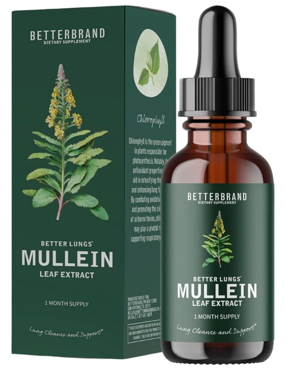 A dropper bottle with a green label that reads MULLEIN along with its matching forest green packaged box next to it. 