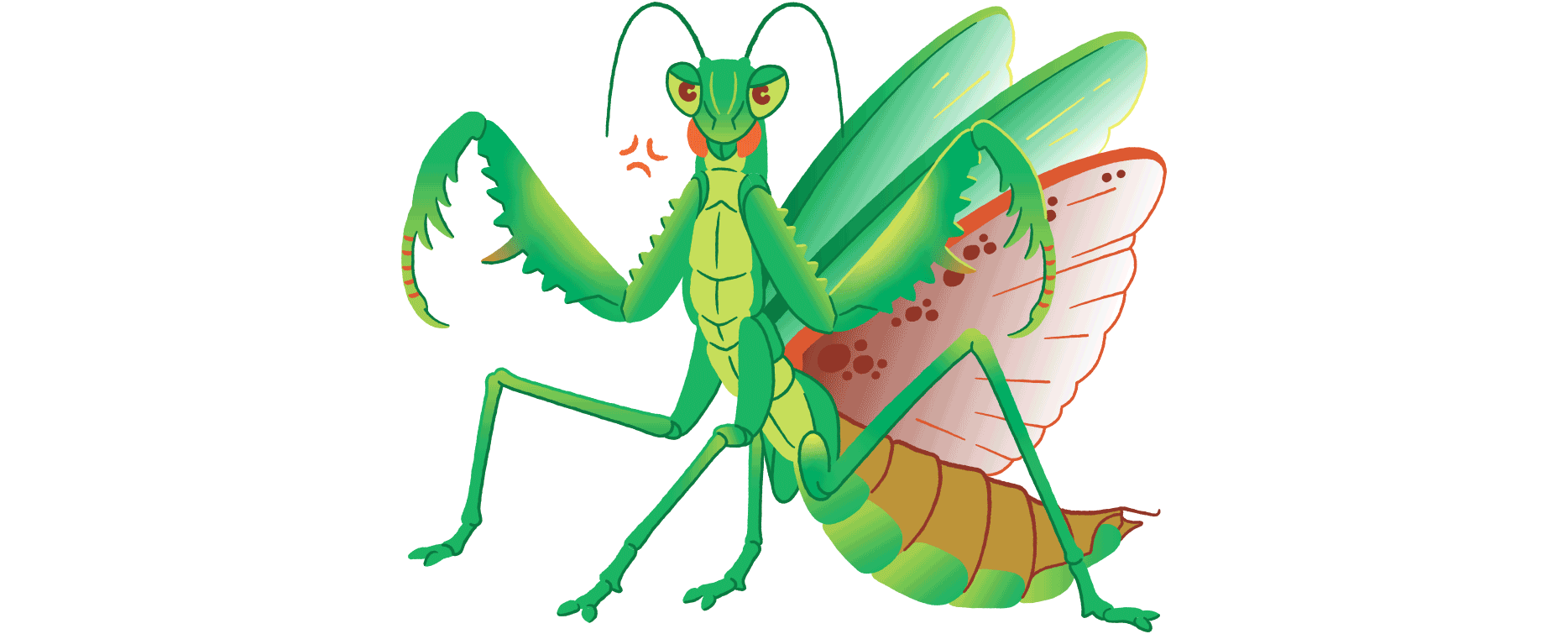 Insect Exhibition Booth Illustration