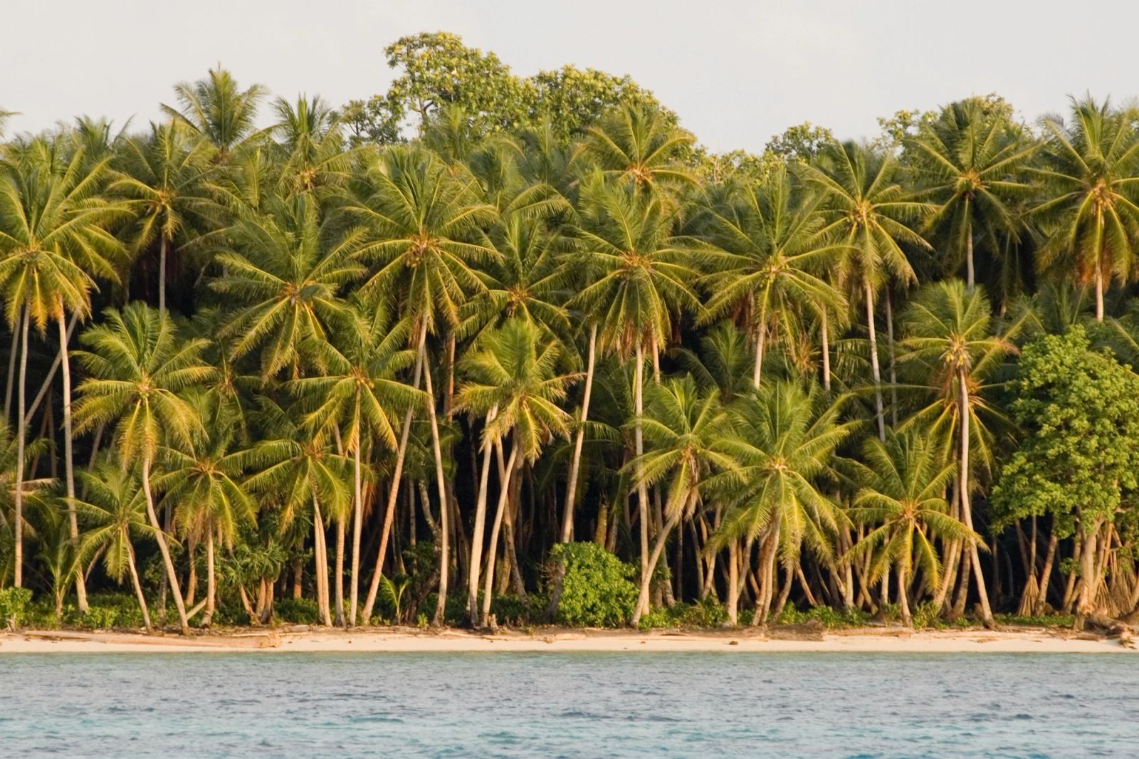Mapia Atoll