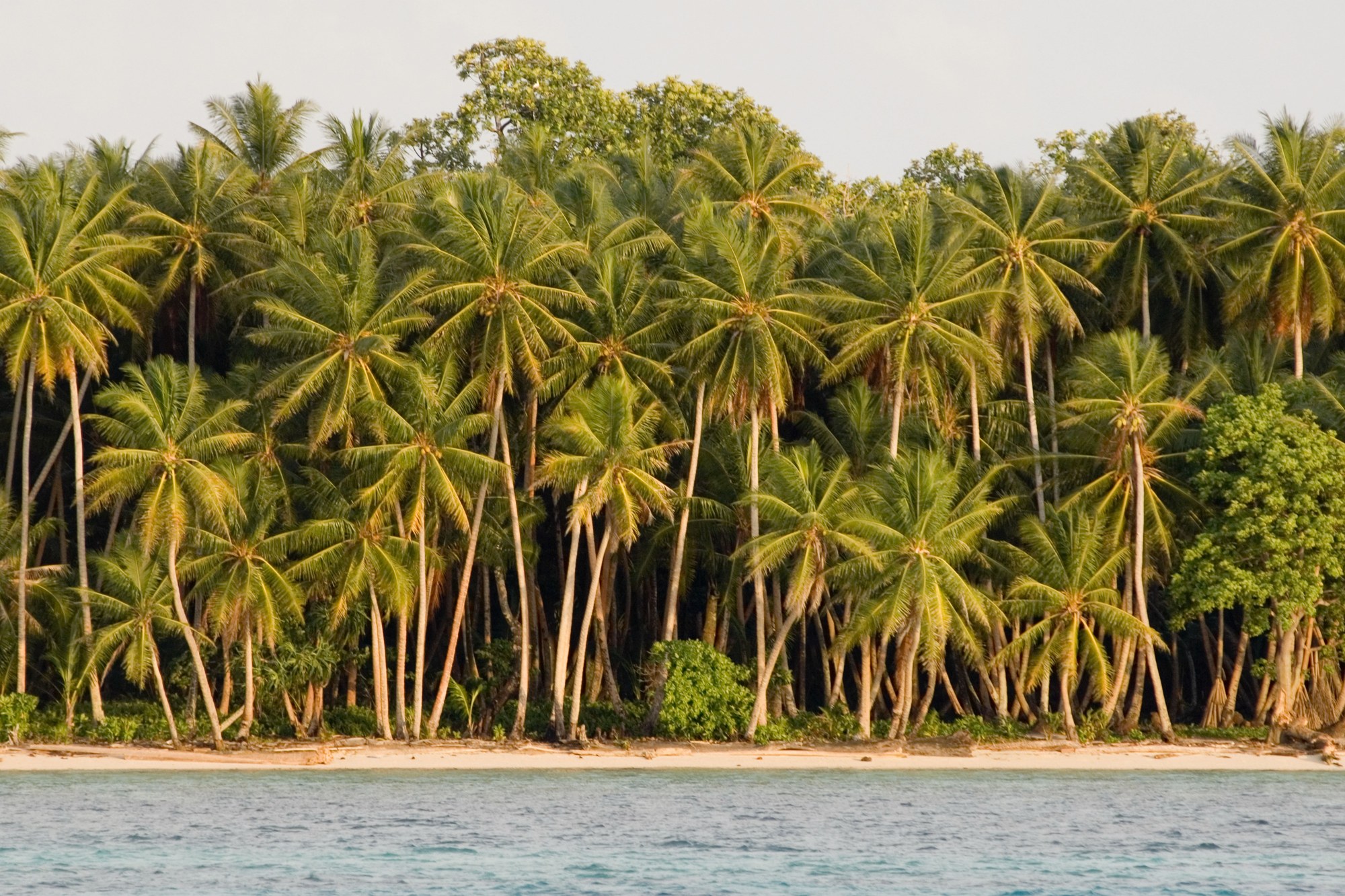 Northern Papua, Indonesia