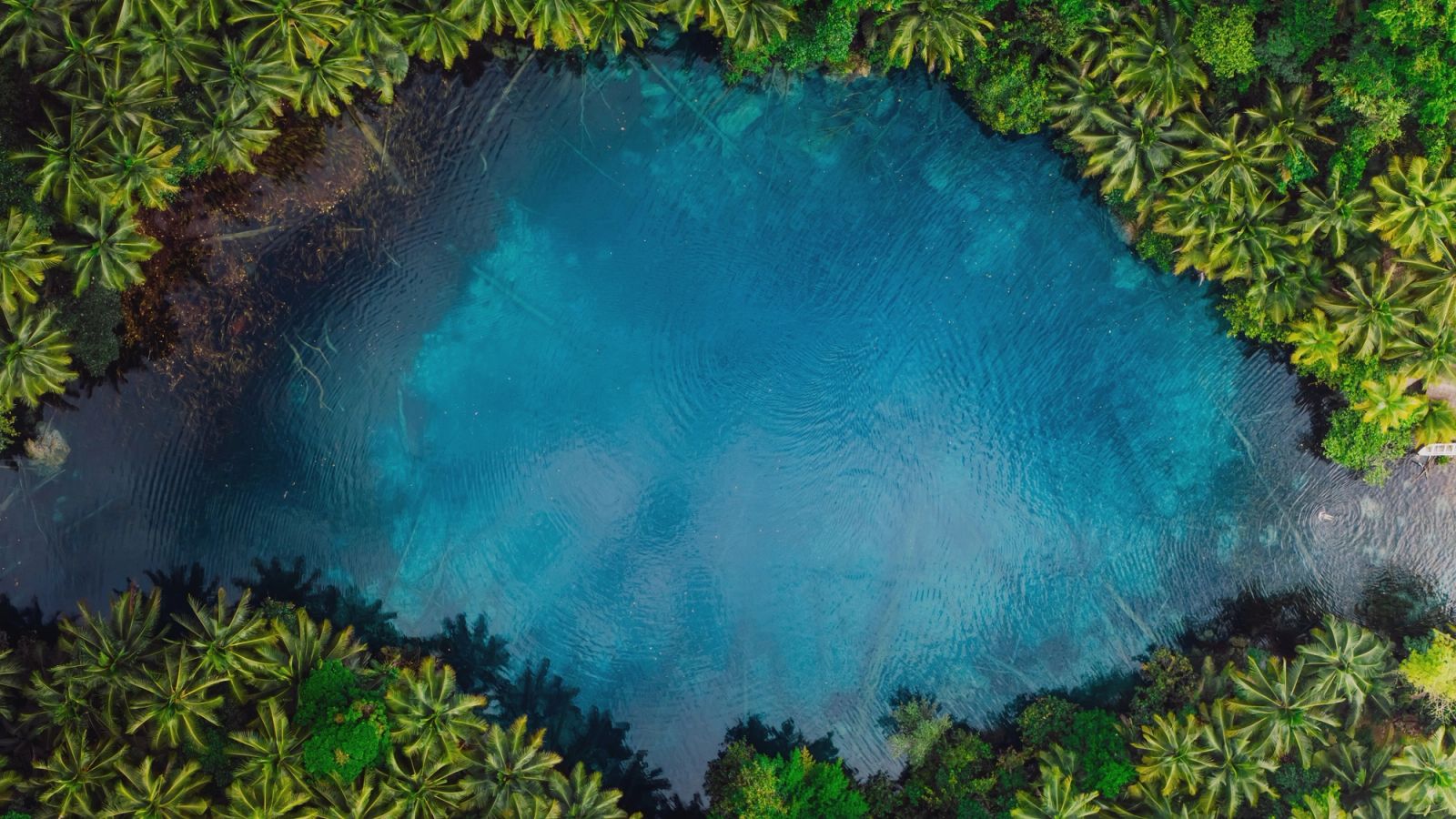 Paisu Pok on Peleng Island, a glassy freshwater lake ringed by jungle.