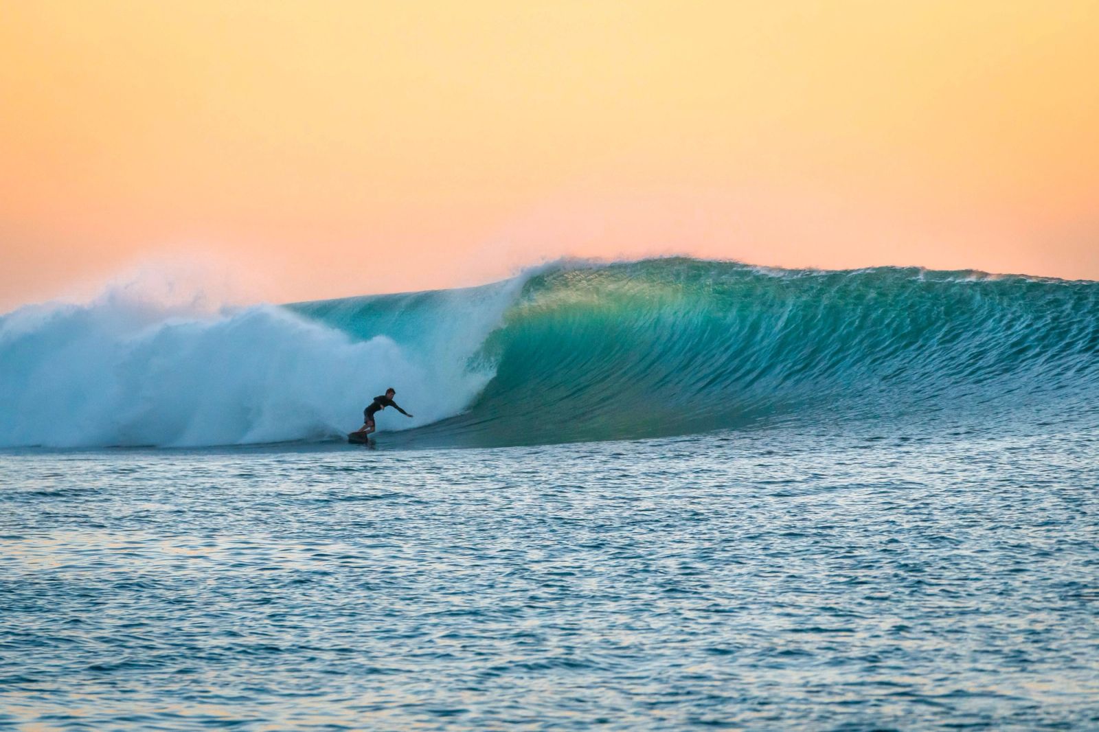 A surfer drops in under an orange dawn sky