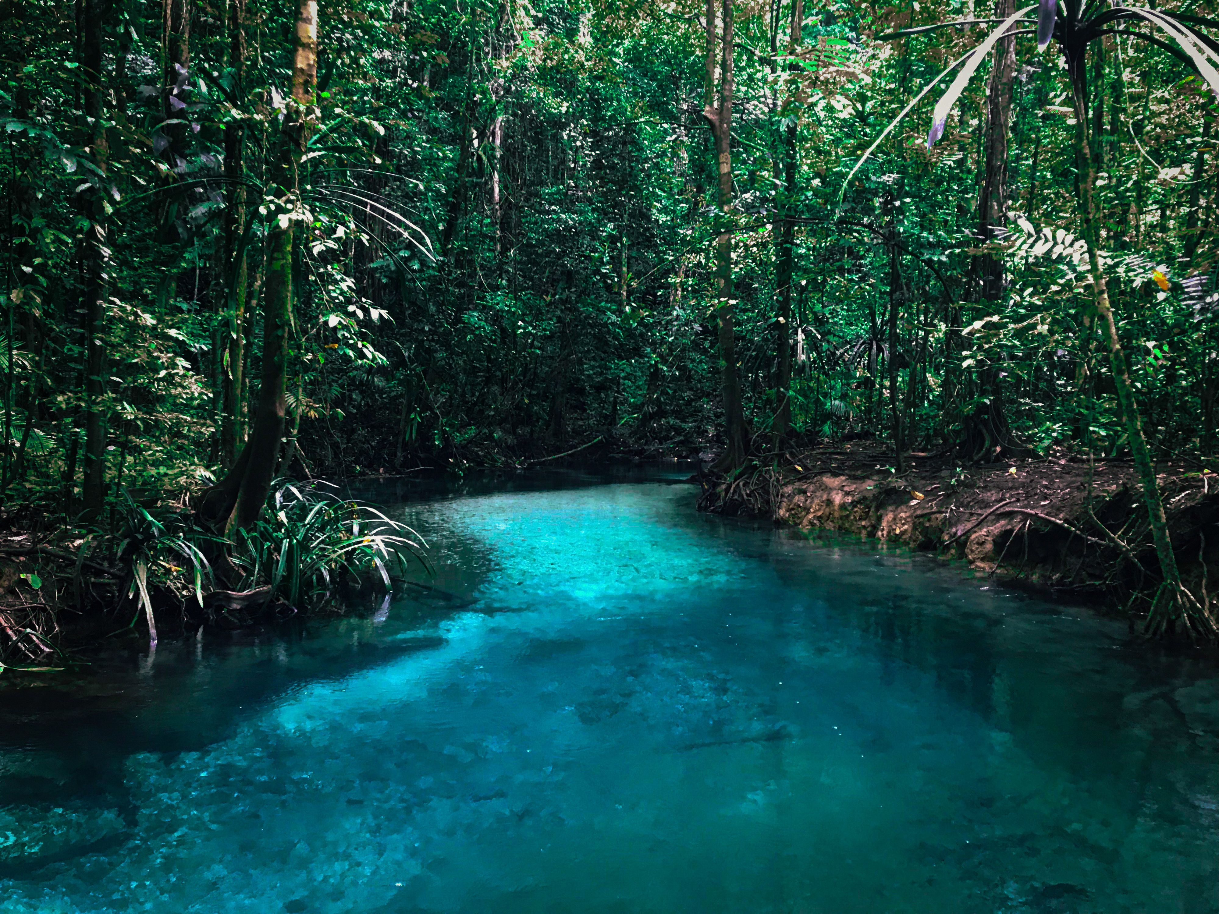A clear turquoise river pool in dense rainforest